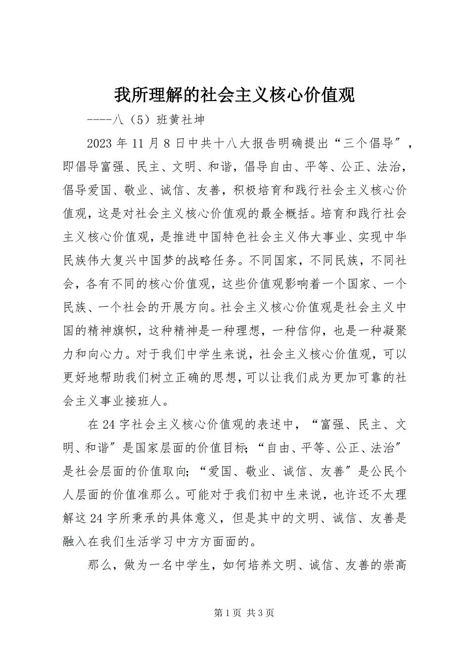 2023年我所理解的社会主义核心价值观.docx_第1页