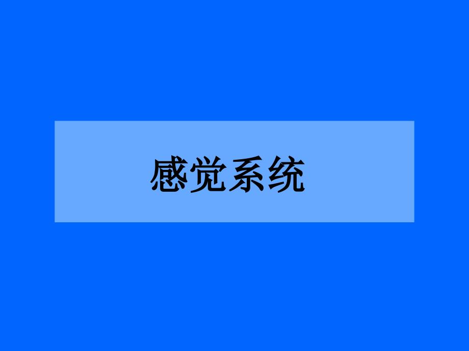 《感觉传导通路》PPT课件.ppt_第1页