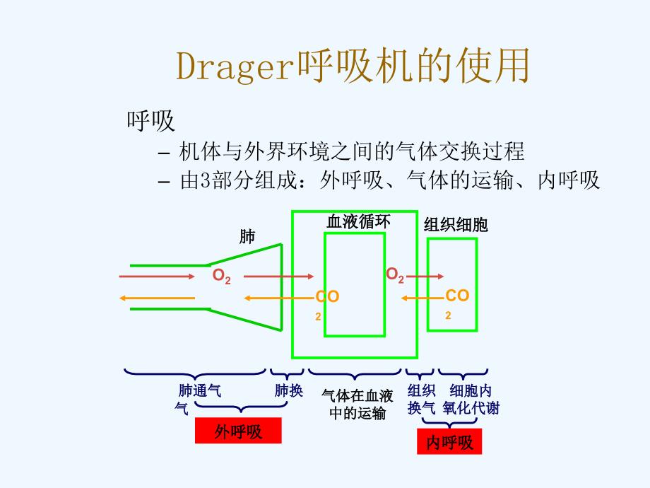 Drager呼吸机的使用_第3页