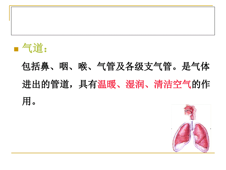 危重症病人人工气道的建立_第3页