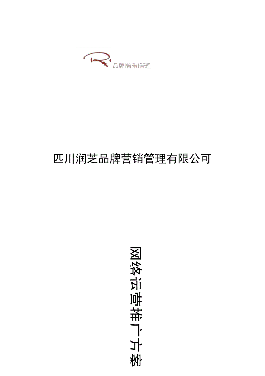 网络运营推广方案_第1页