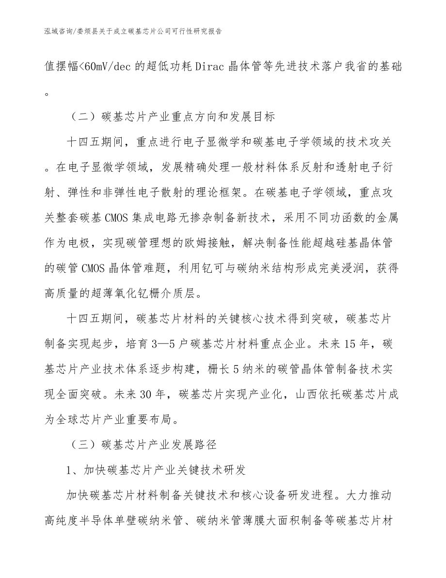 娄烦县关于成立碳基芯片公司可行性研究报告_参考范文_第3页