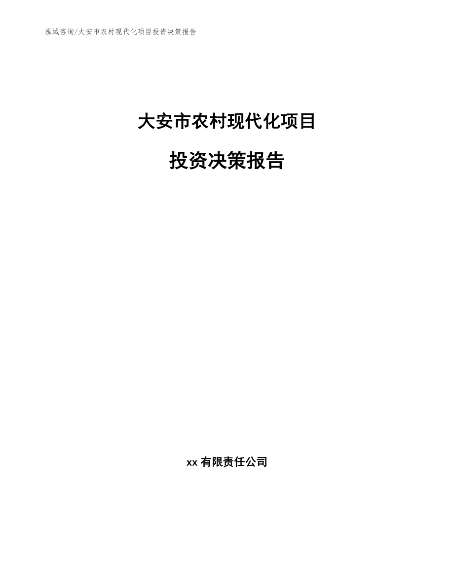 大安市农村现代化项目投资决策报告【范文模板】_第1页
