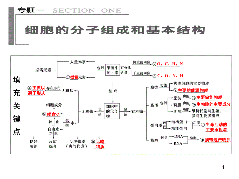 二轮复习知识框架课堂PPT_第1页