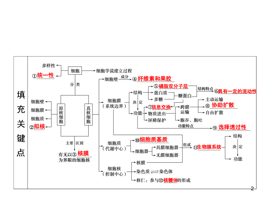 二轮复习知识框架课堂PPT_第2页