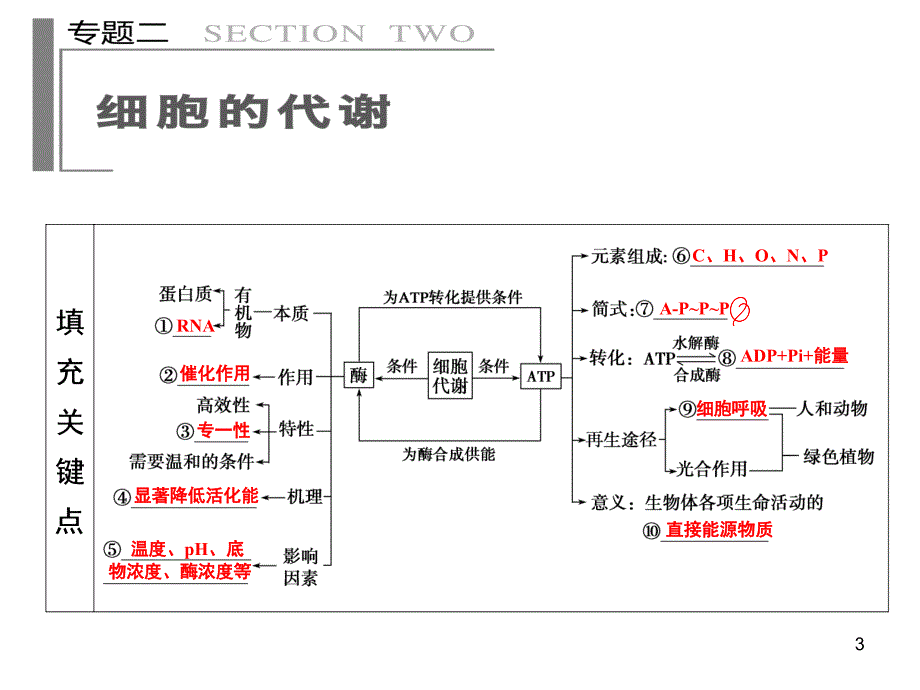 二轮复习知识框架课堂PPT_第3页