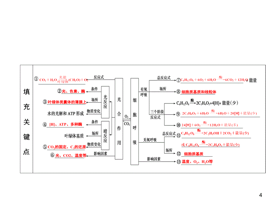 二轮复习知识框架课堂PPT_第4页