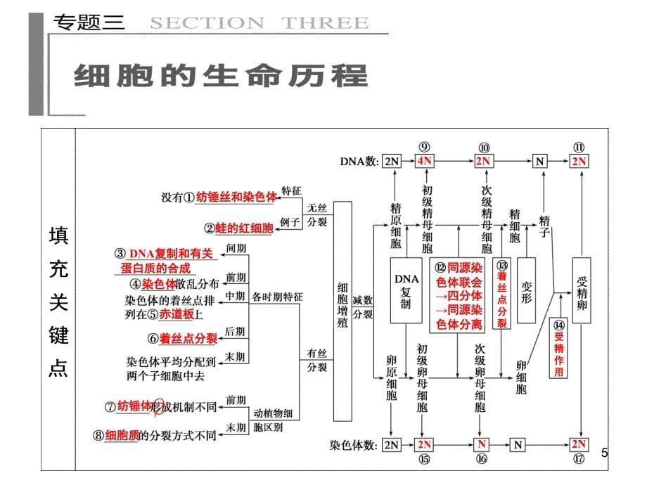 二轮复习知识框架课堂PPT_第5页