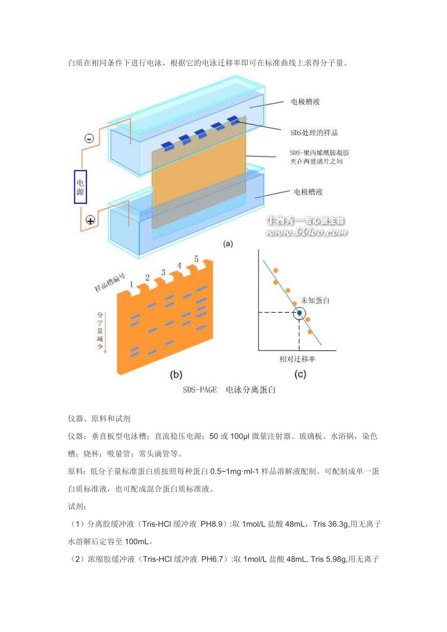 SDS-PAGE电泳测定蛋白质相对分子质量.doc_第2页