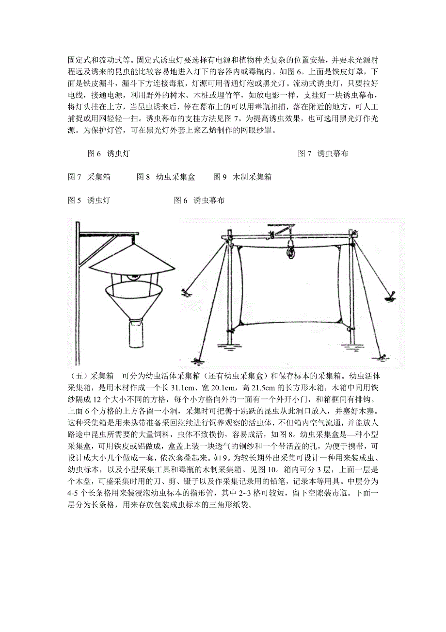 昆虫标本的采集、制作及保存方法.doc_第3页