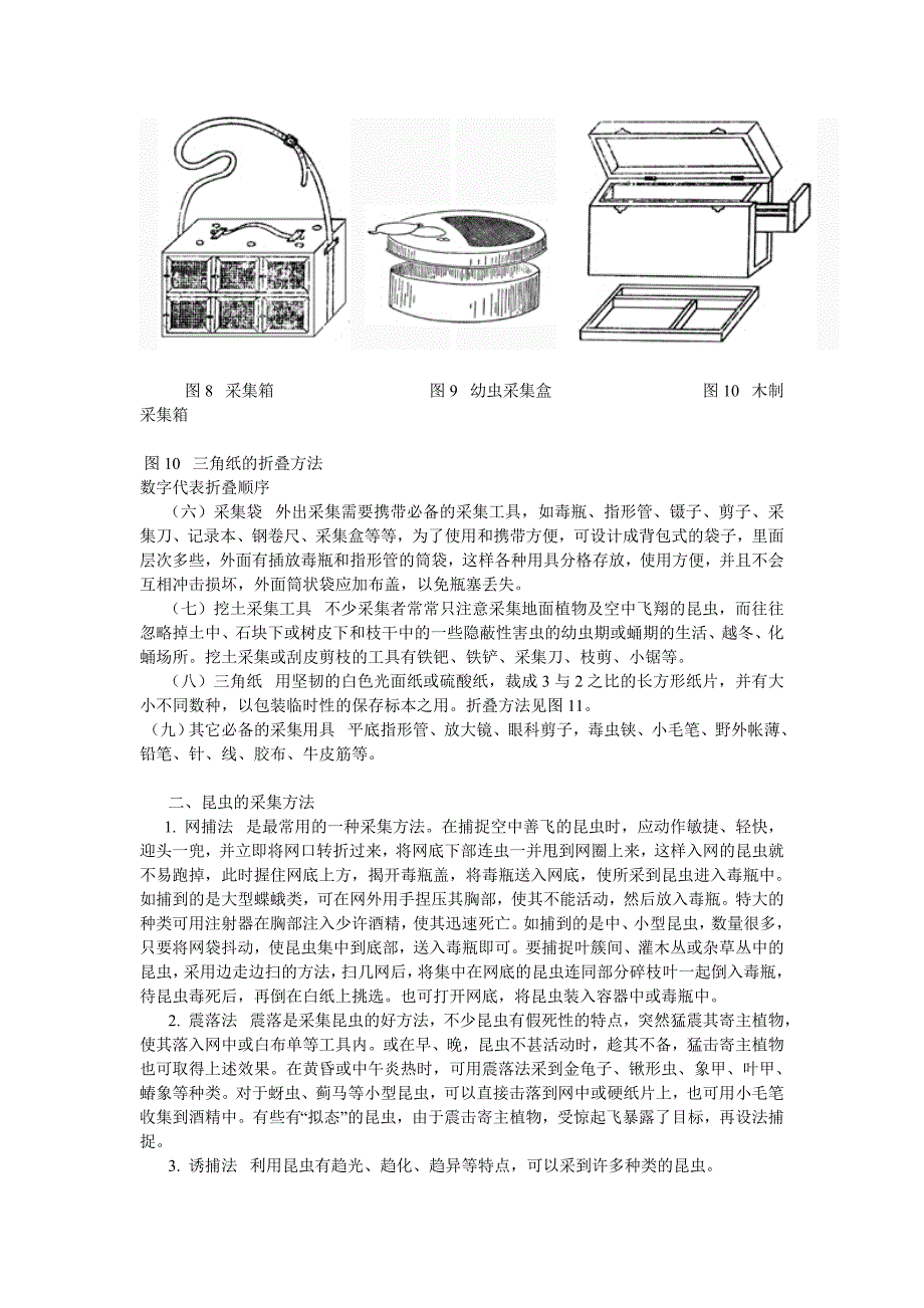 昆虫标本的采集、制作及保存方法.doc_第4页