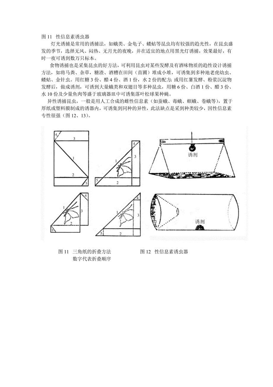 昆虫标本的采集、制作及保存方法.doc_第5页