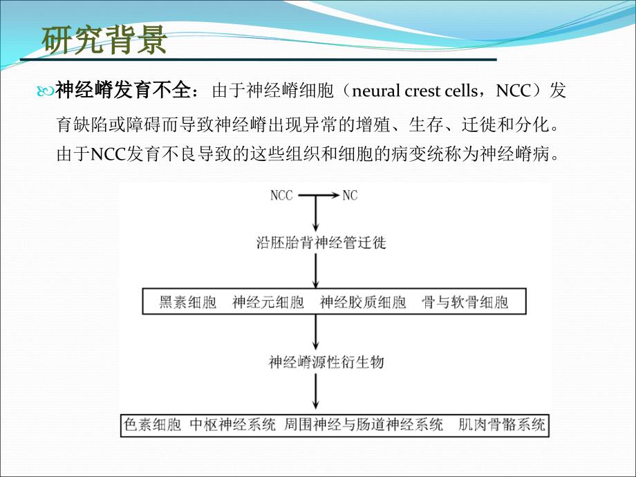 科研设计ppt_第4页