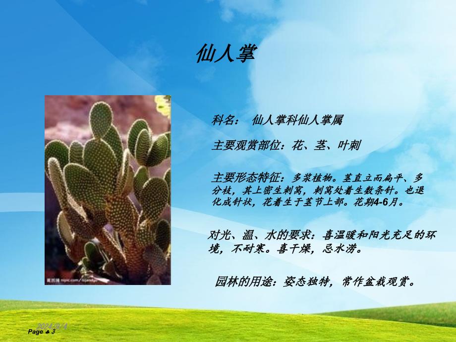 常见园林植物基本简介课件_第3页