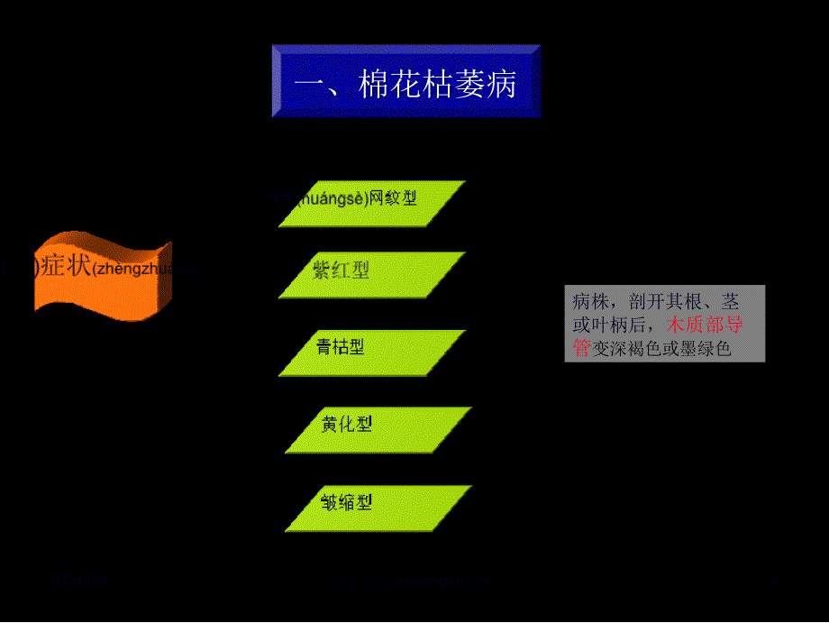 医学专题—区别点棉花枯萎病棉花黄萎病21374_第4页