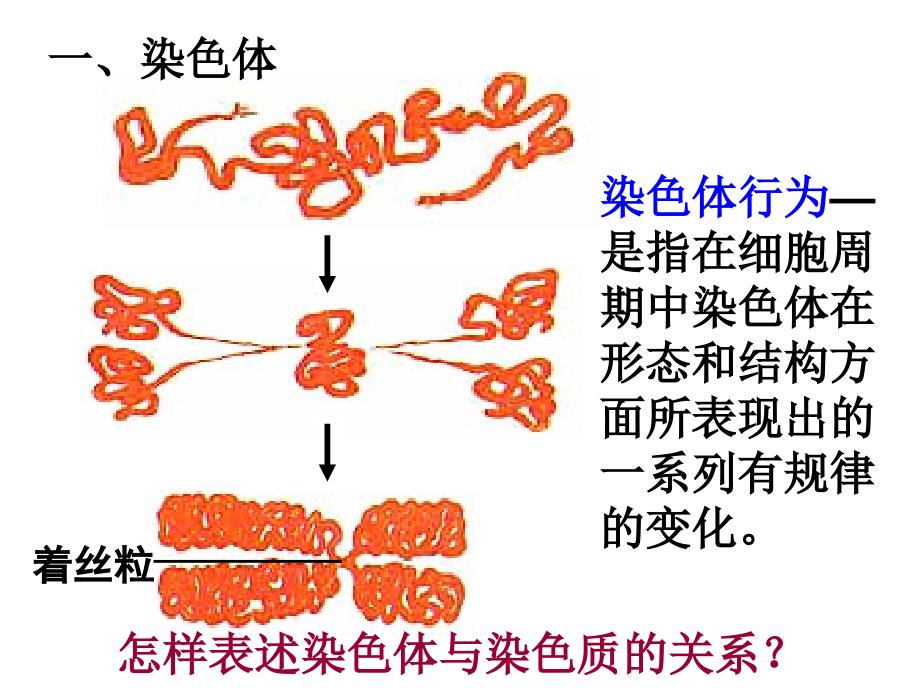 唐氏综合症是人类最常见的一种染色体病_第4页