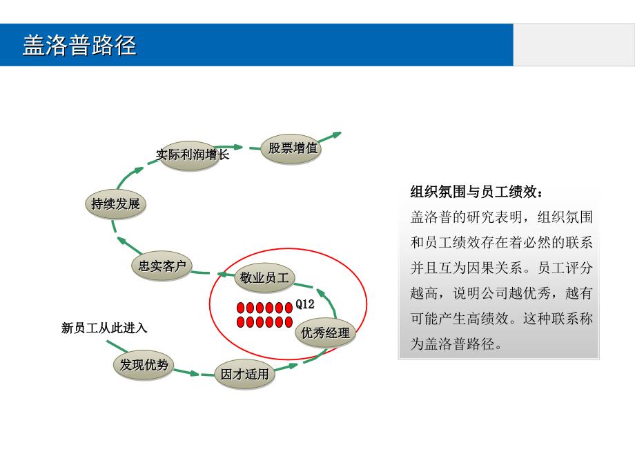 盖洛普Q12数据分析_第3页