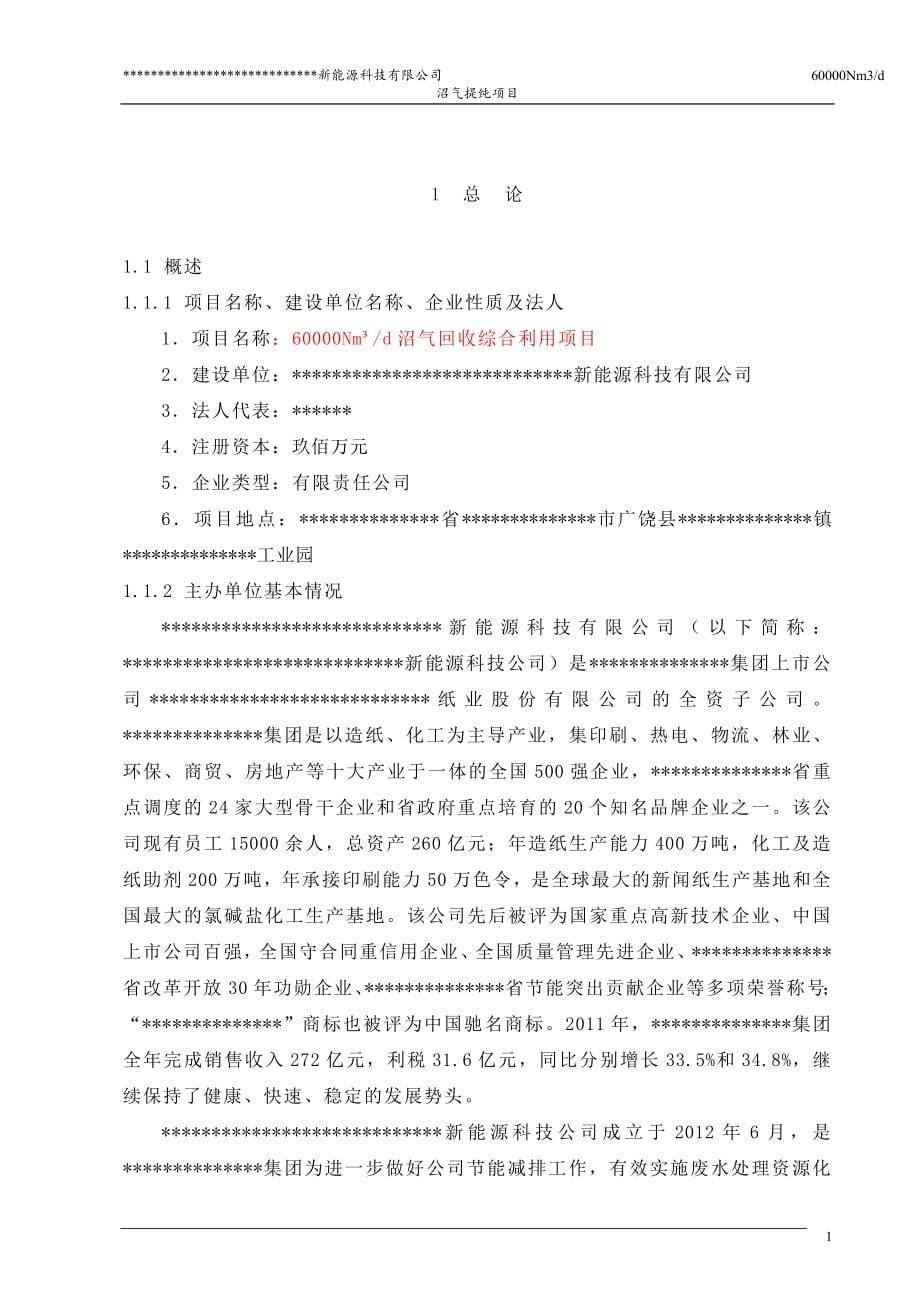 新能源科技沼气提纯天然气项目可行性策划书.doc_第5页