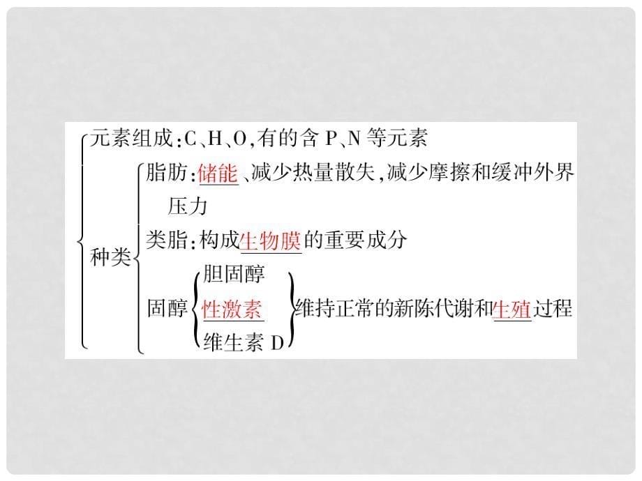 生物一轮复习 第三讲 组成生物体的有机化合物同步课件 大纲人教版_第5页