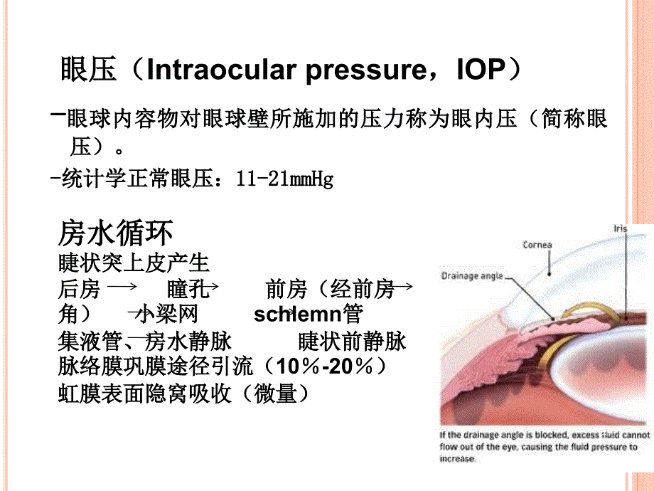 急性闭角型青光眼ppt课件1_第4页