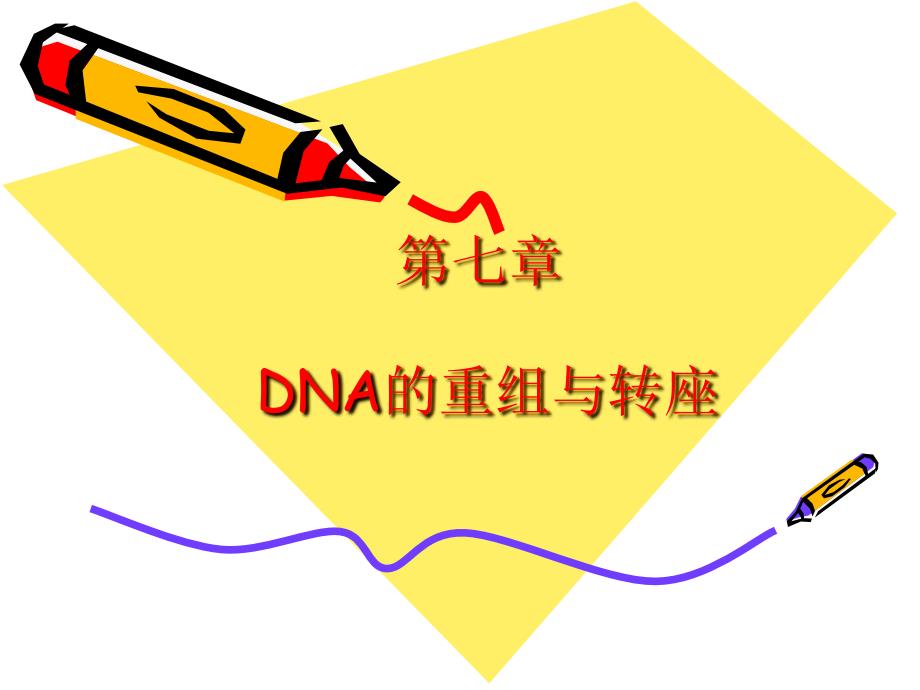 分子生物学第七章DNA的重组与转座_第1页