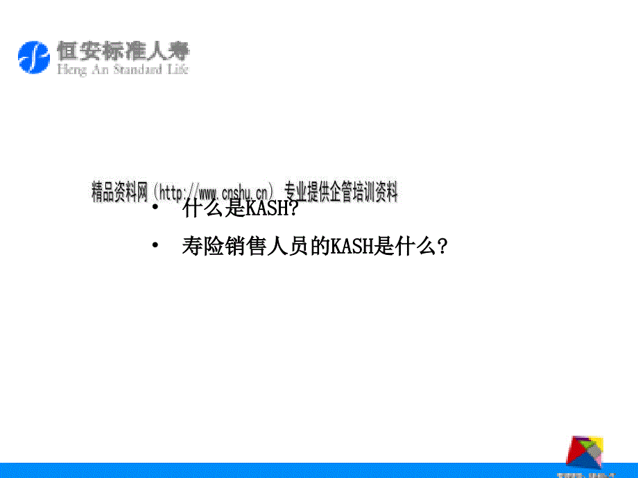 apb0905寿险事业成功要素_第4页