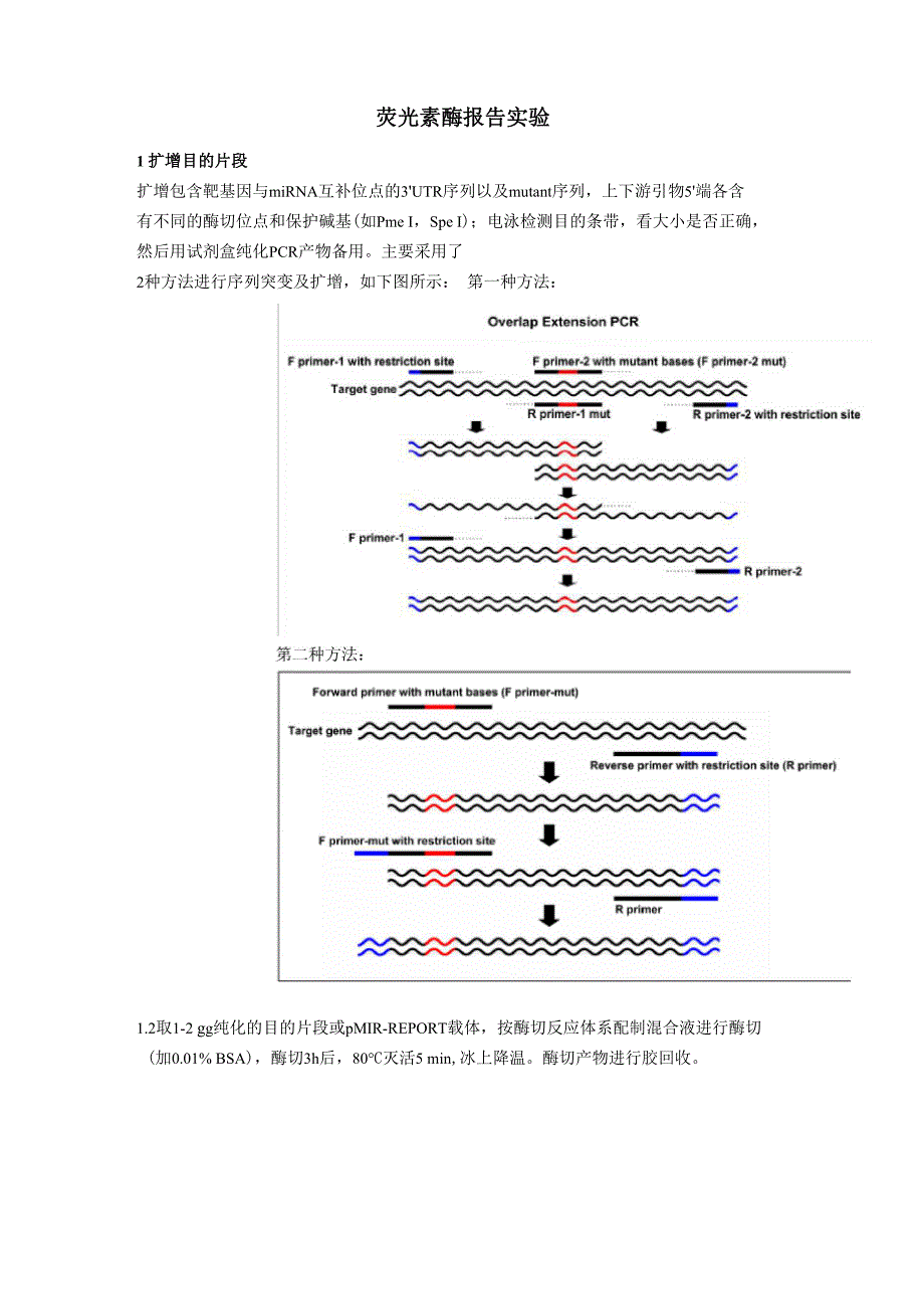 荧光素酶报告实验_第1页