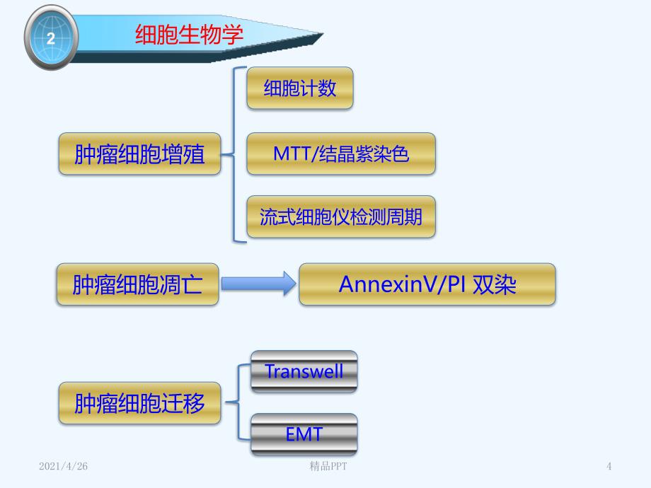 肿瘤研究中常用的方法与问题医学课件_第4页