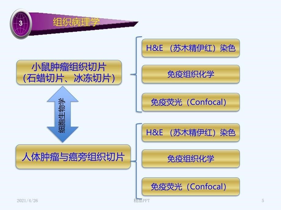 肿瘤研究中常用的方法与问题医学课件_第5页