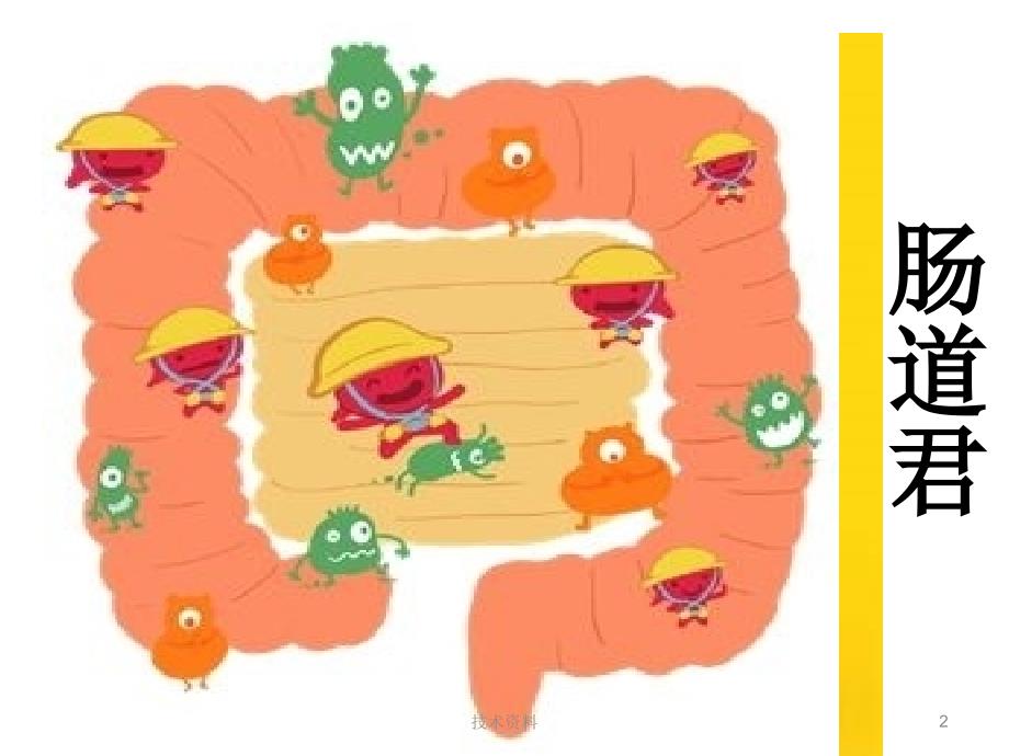 肠道君 肠道菌群课件：概念、作用、应用【基础教学】_第2页