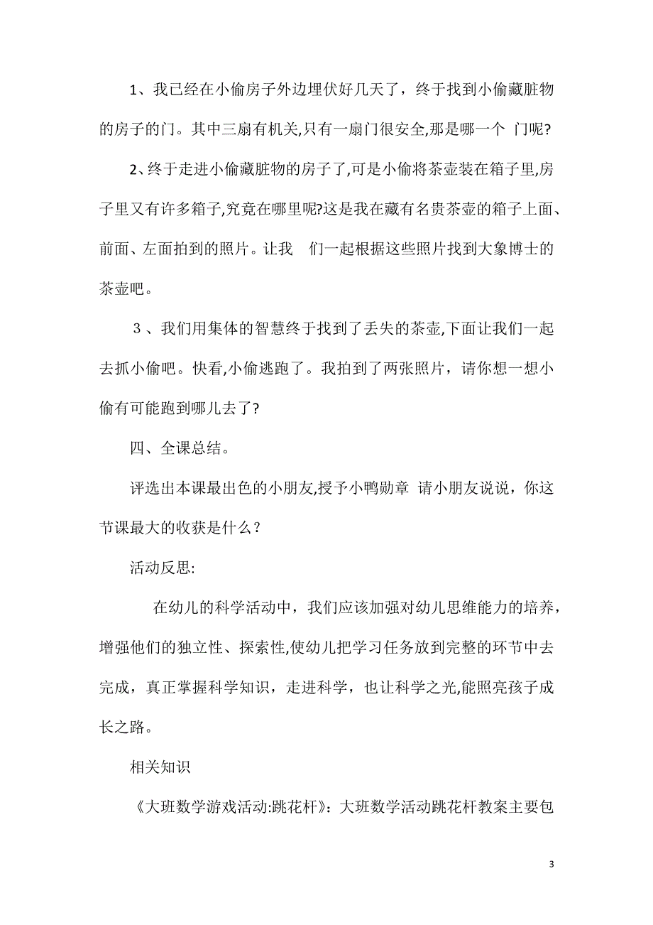 大班数学公开课小鸭侦探教案反思_第3页