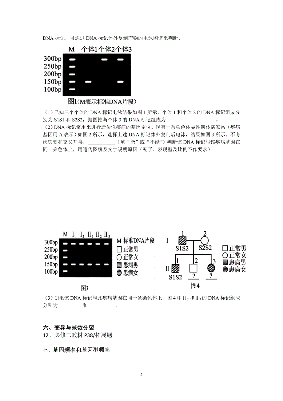 高三二轮复习生物：遗传专题二学案.doc_第4页