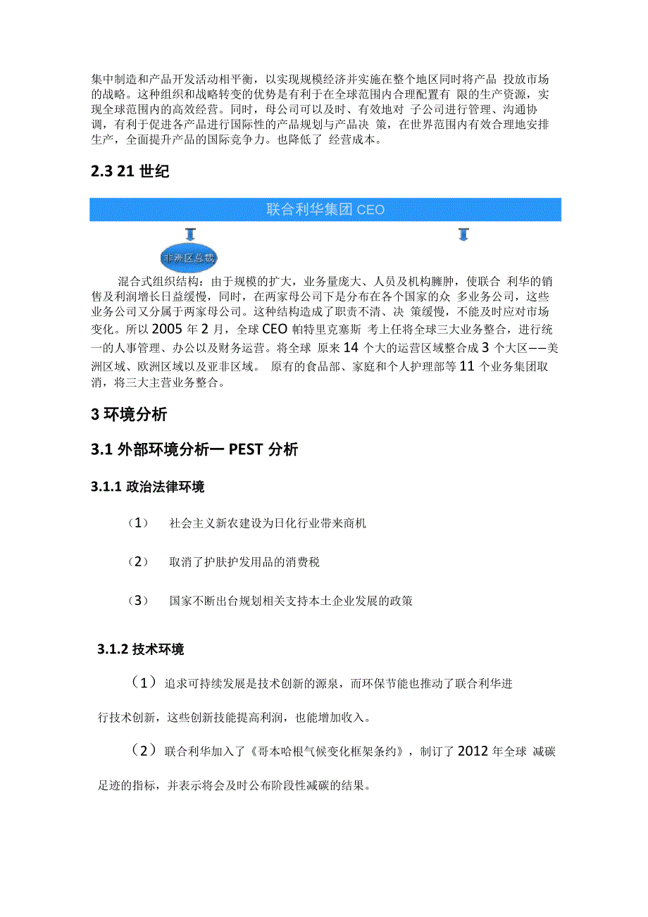 联合利华公司战略分析报告书_第3页