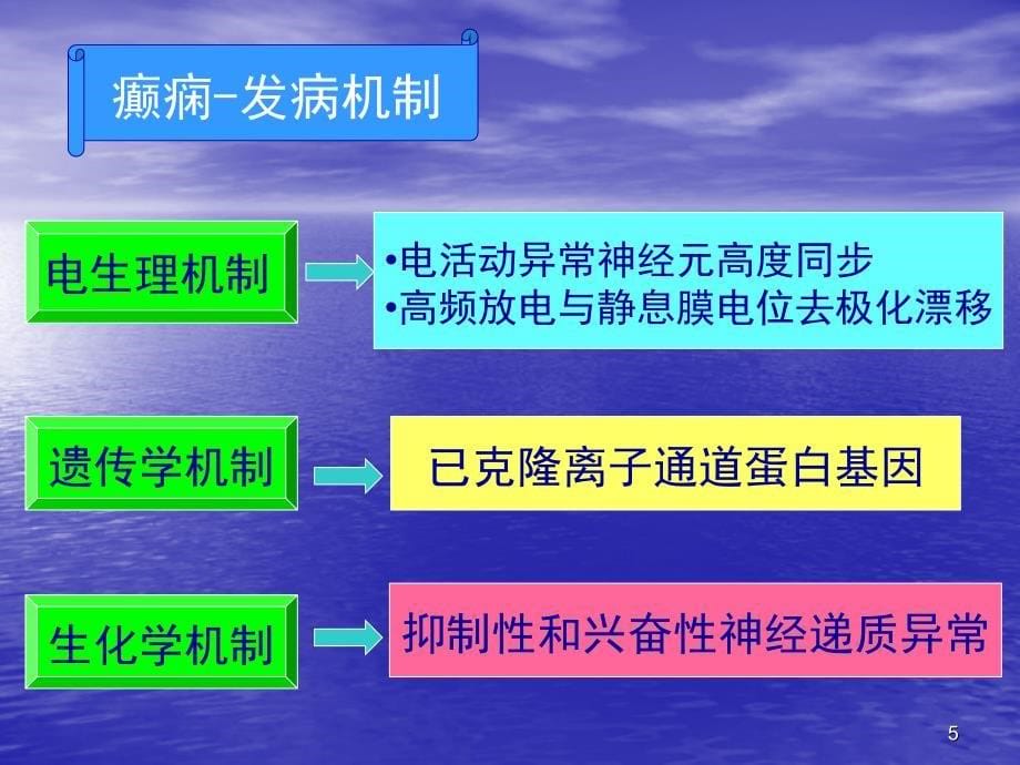 癫痫的基本知识及急救处理ppt课件_第5页