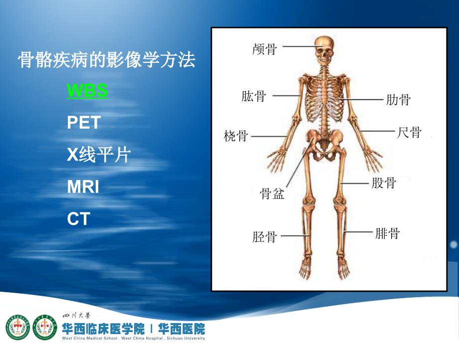 全身骨显像骨显像核医学.ppt_第2页