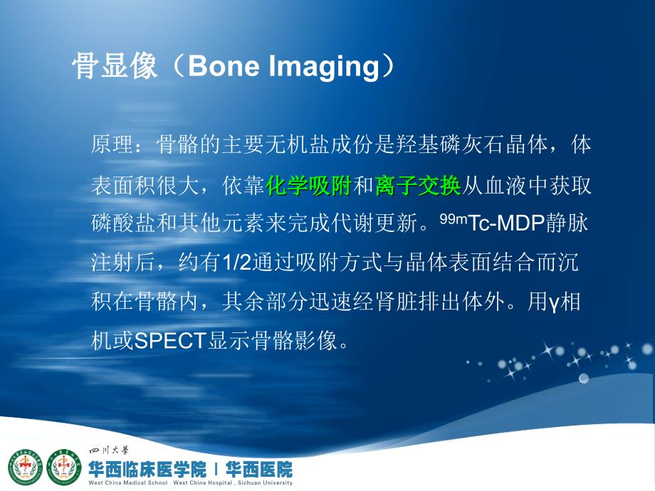 全身骨显像骨显像核医学.ppt_第3页