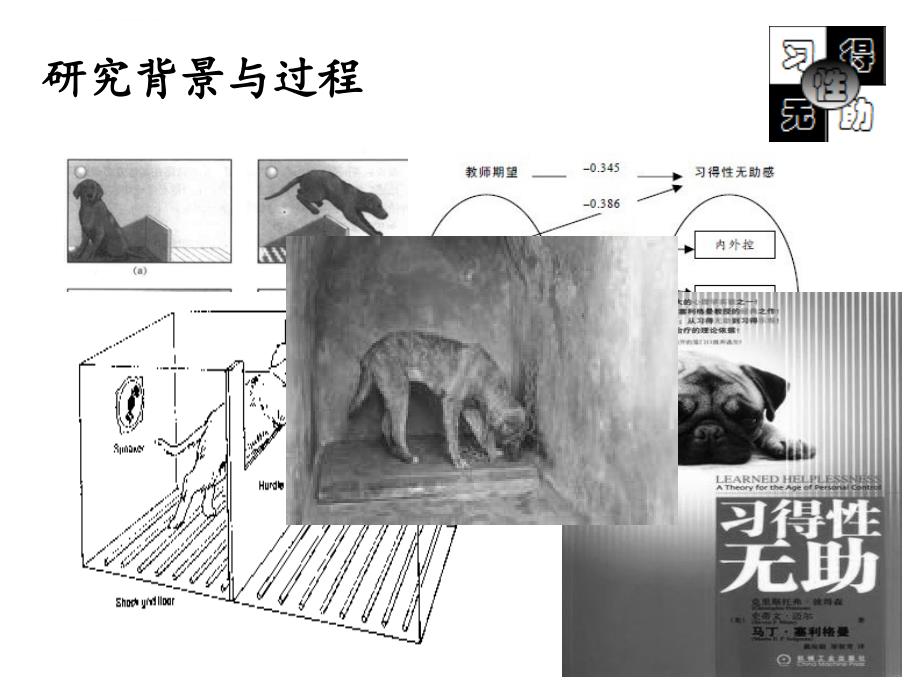 习得性无助--电影中的心理学ppt课件_第3页