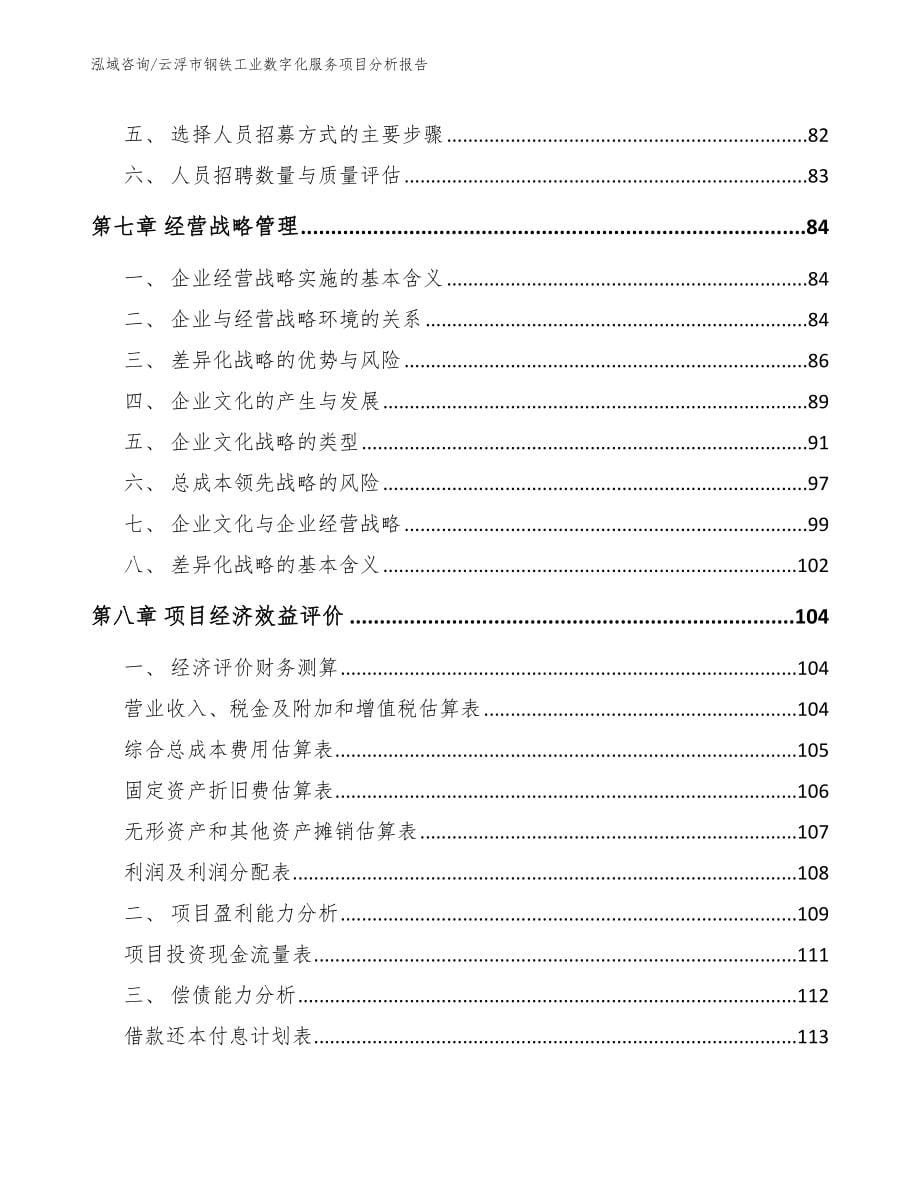 云浮市钢铁工业数字化服务项目分析报告【参考范文】_第5页