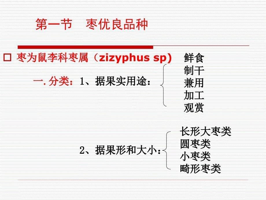 果树育种：枣树丰产栽培技术_第5页