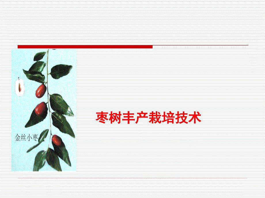 果树育种：枣树丰产栽培技术