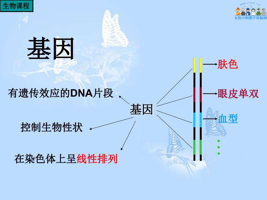 基因指导白的合成_第2页