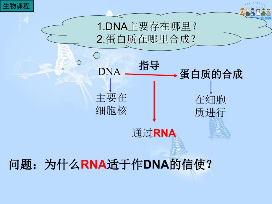 基因指导白的合成_第4页