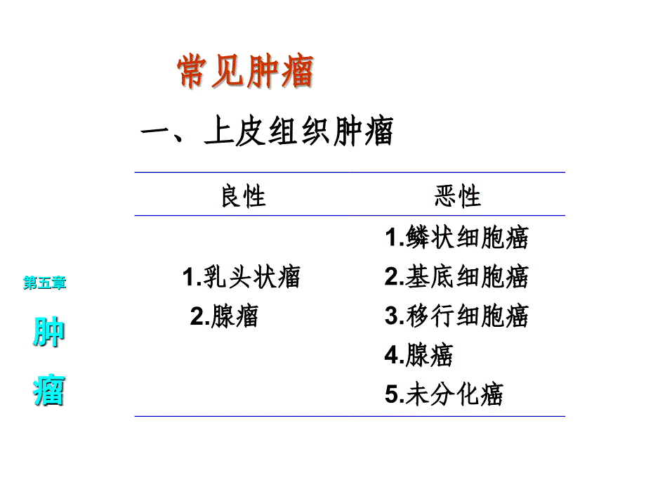 病理重点大纲_第3页