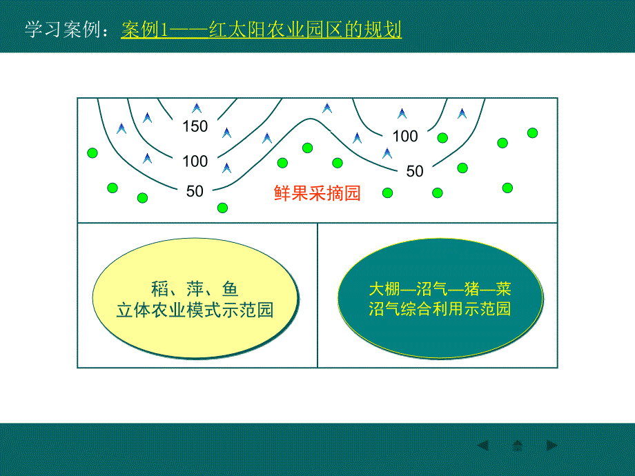 红太阳农业园区的规划_第4页