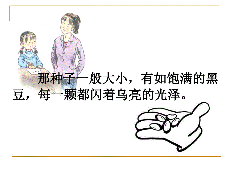 1　种子_课件_第4页