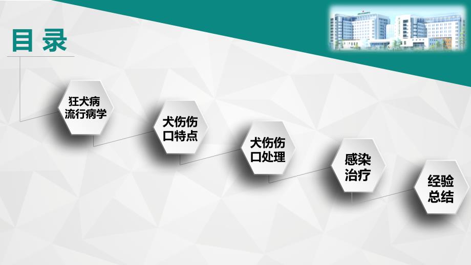 犬伤的处理及感染治疗PPT课件_第3页