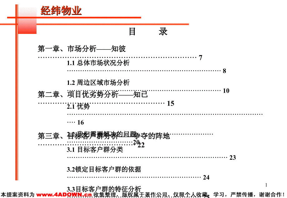 营销策划报告书_第1页