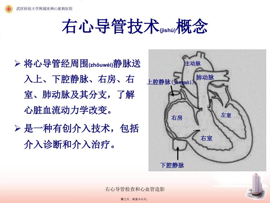 右心导管检查和心血管造影课件_第2页