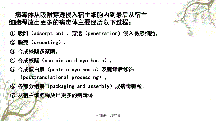 中国医科大学药学院_第4页