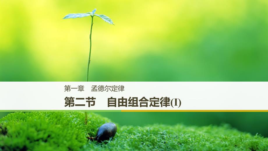 （通用版）2018-2019版高中生物 第一章 孟德尔定律 第二节 自由组合定律（Ⅰ）课件 浙科版必修2_第1页